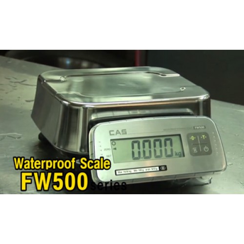 SensortronicScalesCASFW500-500x500